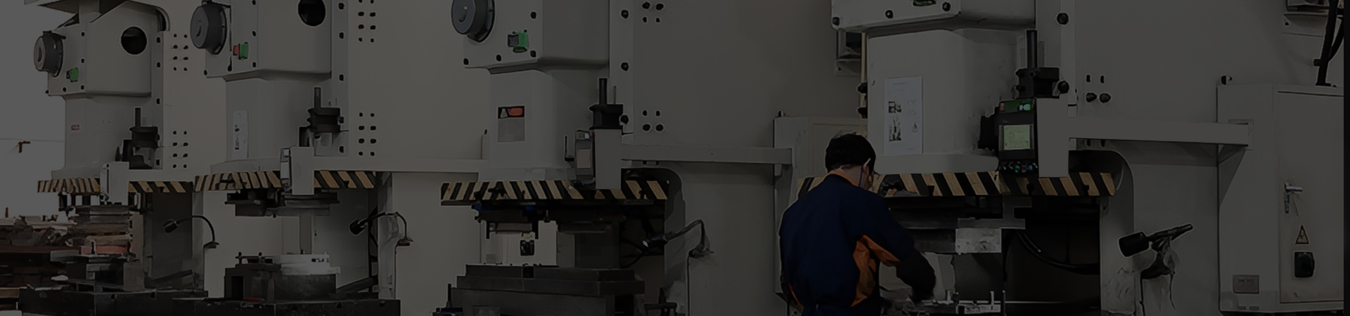 Servicios personalizados y OEM/ODM