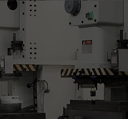 Servicios personalizados y OEM/ODM